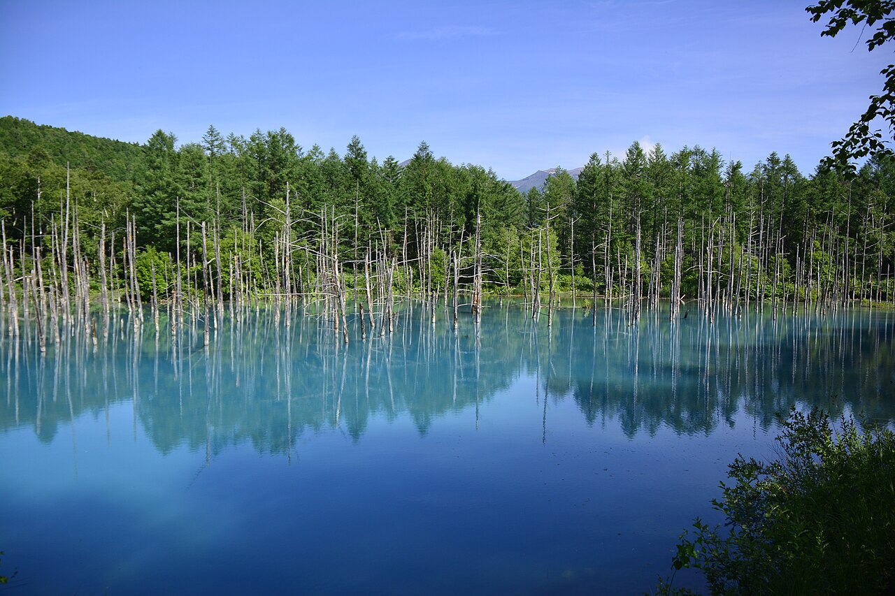 北海道の写真