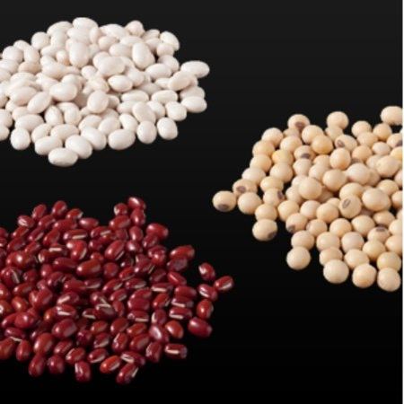 麻布青野総本舗　小豆