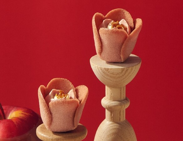 チューリップローズ 9個入〈迎春〉