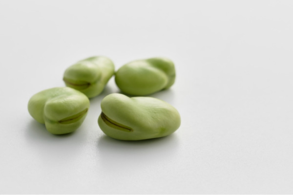 フェーブ自由が丘本店　ソラマメ