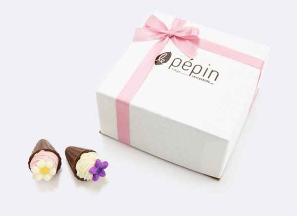 le pépin　パルテール ドゥ ショコラ　2