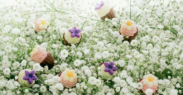 le pépin　パルテール ドゥ ショコラ　3