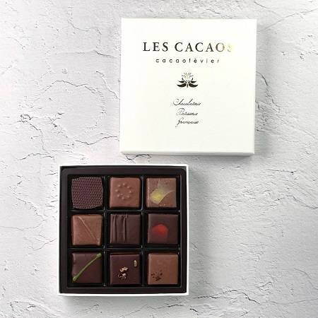 LES CACAOS　ボンボンショコラ9個